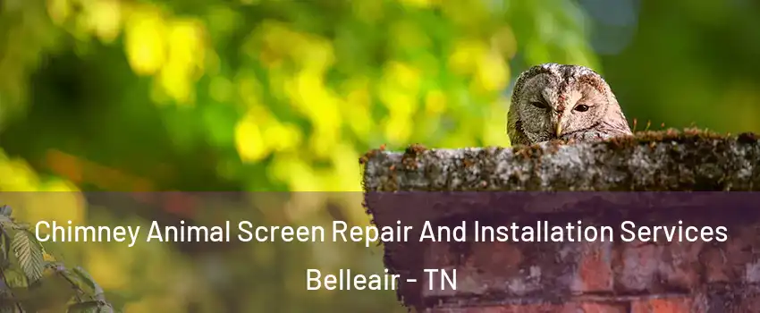 Chimney Animal Screen Repair And Installation Services Belleair - TN