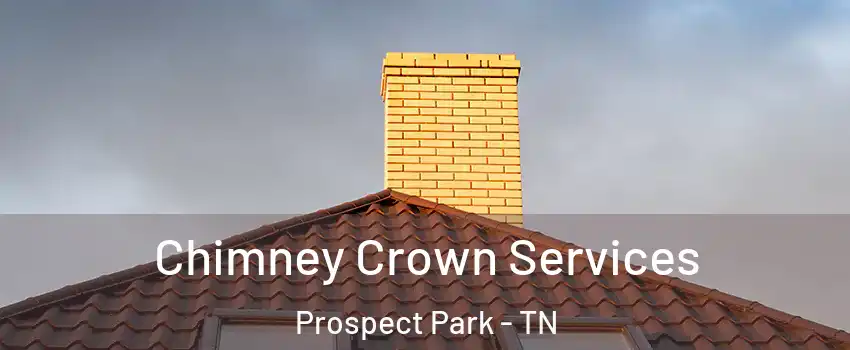 Chimney Crown Services Prospect Park - TN