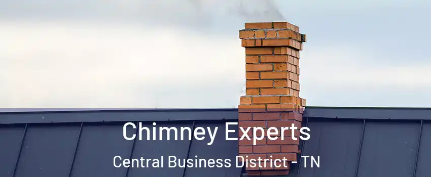 Chimney Experts Central Business District - TN
