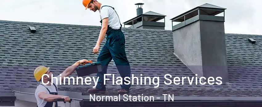 Chimney Flashing Services Normal Station - TN