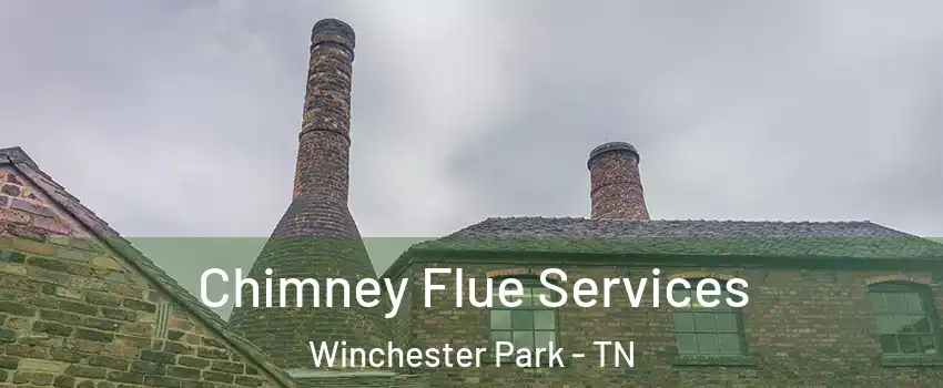 Chimney Flue Services Winchester Park - TN