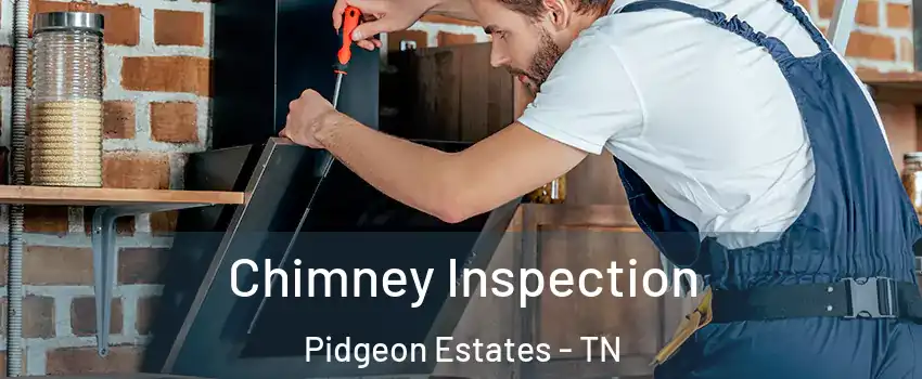 Chimney Inspection Pidgeon Estates - TN