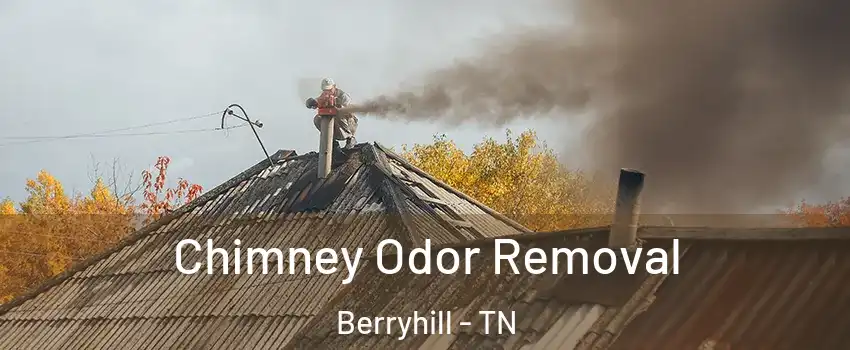 Chimney Odor Removal Berryhill - TN