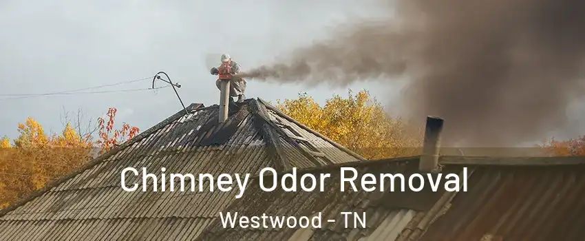 Chimney Odor Removal Westwood - TN