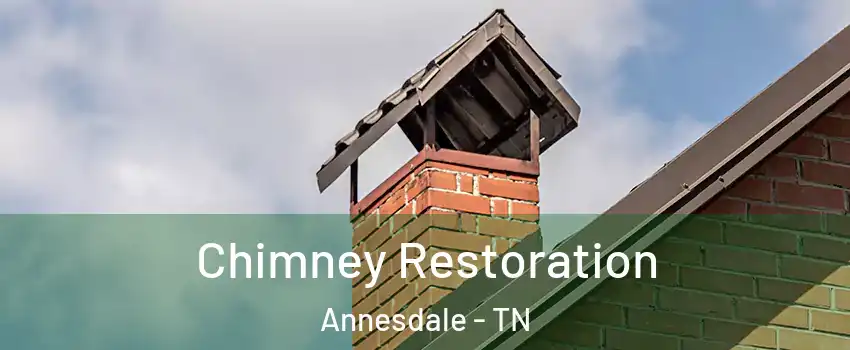 Chimney Restoration Annesdale - TN