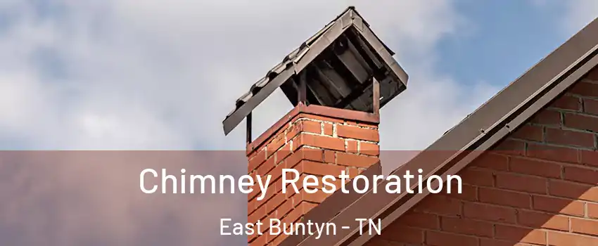 Chimney Restoration East Buntyn - TN