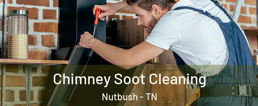 Chimney Soot Cleaning Nutbush - TN