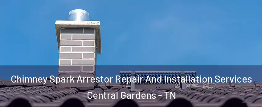 Chimney Spark Arrestor Repair And Installation Services Central Gardens - TN