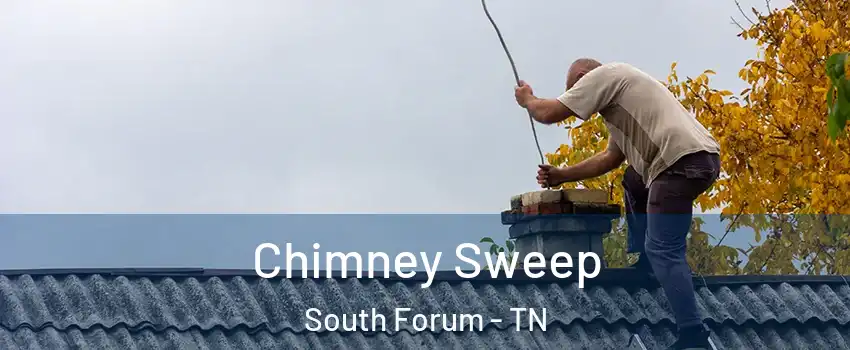 Chimney Sweep South Forum - TN