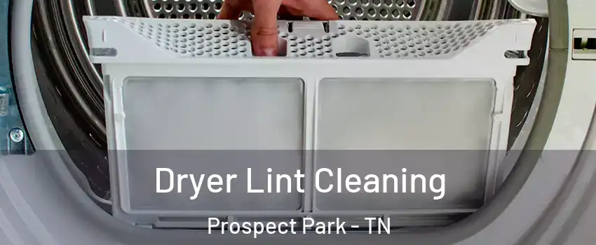 Dryer Lint Cleaning Prospect Park - TN