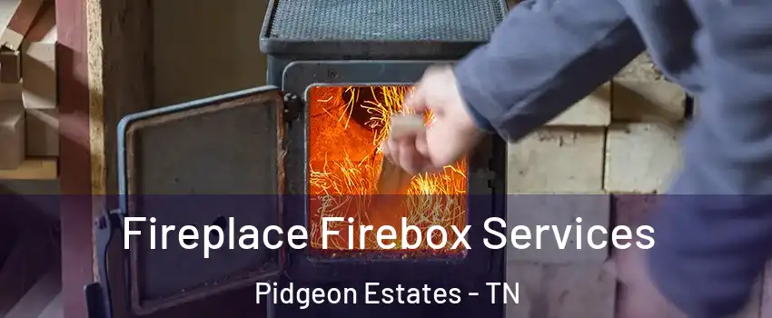 Fireplace Firebox Services Pidgeon Estates - TN