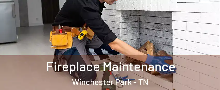 Fireplace Maintenance Winchester Park - TN