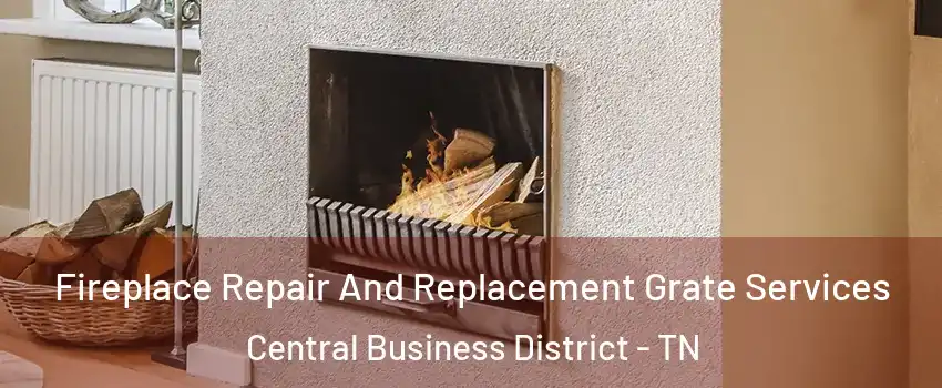 Fireplace Repair And Replacement Grate Services Central Business District - TN
