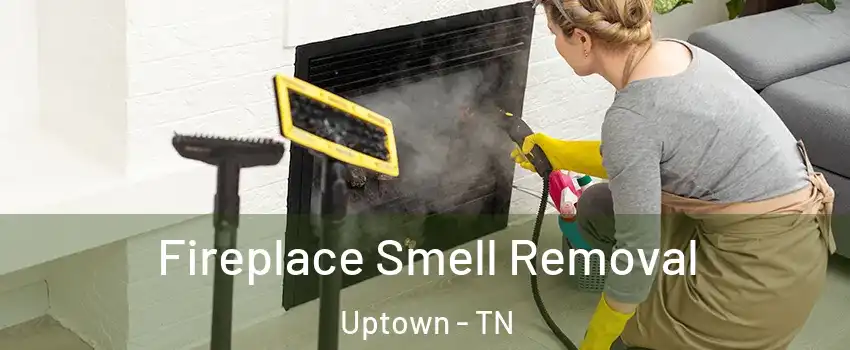 Fireplace Smell Removal Uptown - TN