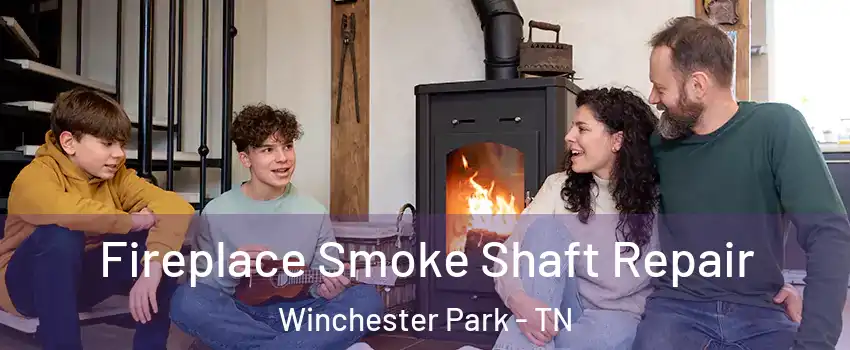 Fireplace Smoke Shaft Repair Winchester Park - TN