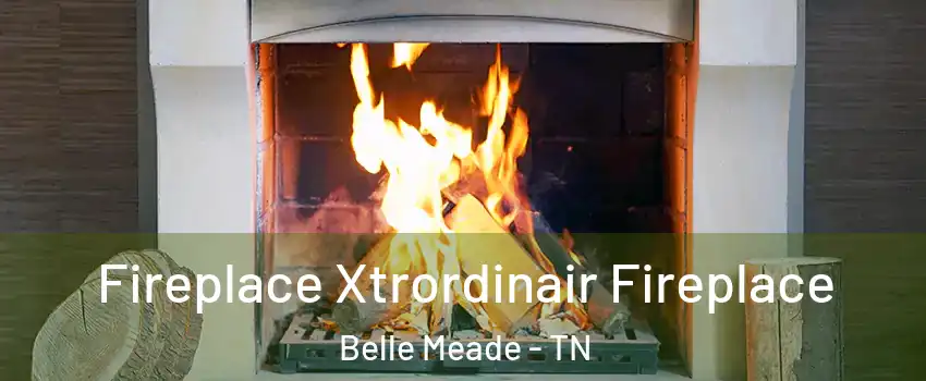 Fireplace Xtrordinair Fireplace Belle Meade - TN