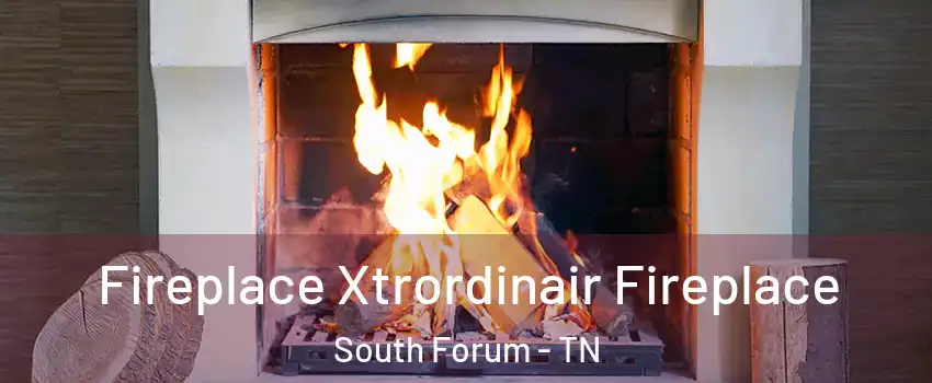 Fireplace Xtrordinair Fireplace South Forum - TN