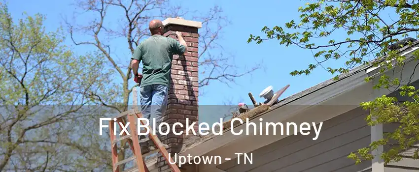 Fix Blocked Chimney Uptown - TN