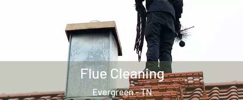 Flue Cleaning Evergreen - TN