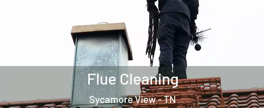Flue Cleaning Sycamore View - TN