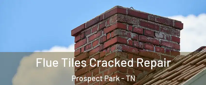 Flue Tiles Cracked Repair Prospect Park - TN