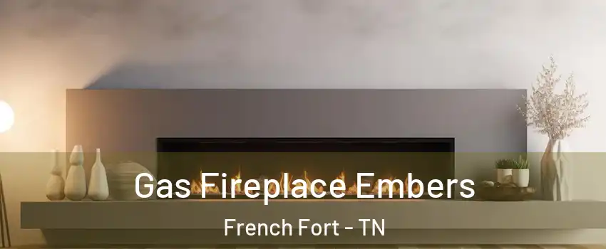 Gas Fireplace Embers French Fort - TN