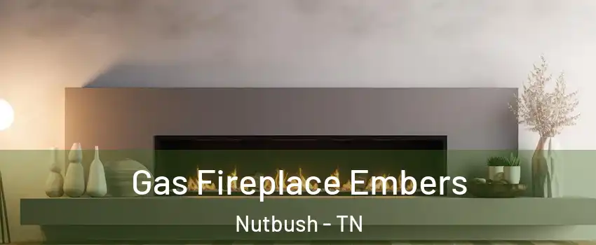Gas Fireplace Embers Nutbush - TN