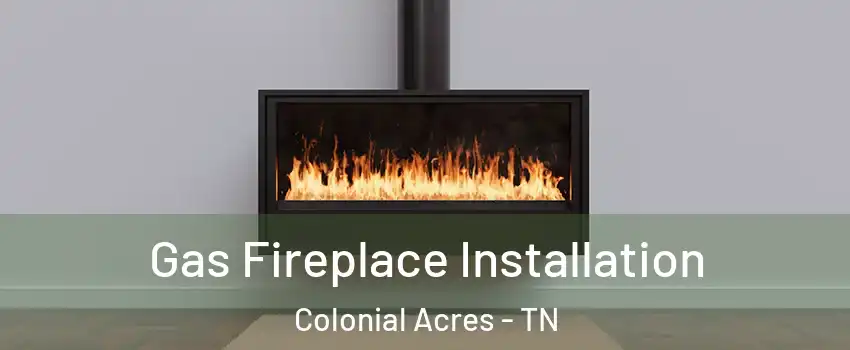 Gas Fireplace Installation Colonial Acres - TN