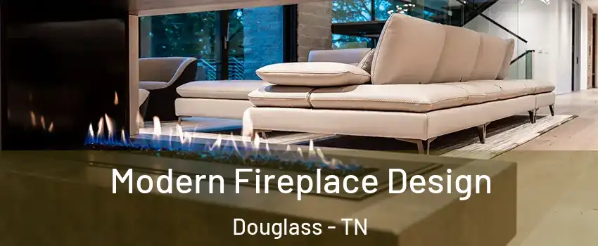 Modern Fireplace Design Douglass - TN