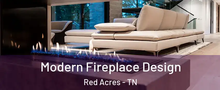 Modern Fireplace Design Red Acres - TN