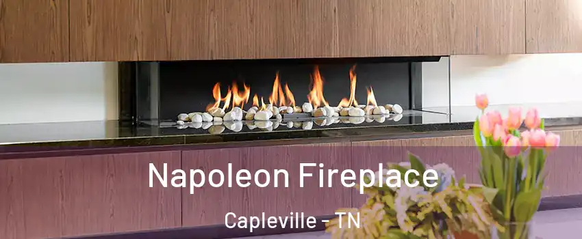Napoleon Fireplace Capleville - TN