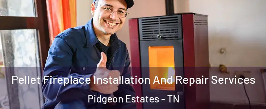 Pellet Fireplace Installation And Repair Services Pidgeon Estates - TN